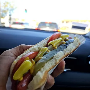 Chicago Dog