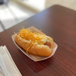 hot dogs, food, hot dog, sandwich