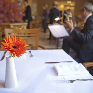 a vase with a flower in it