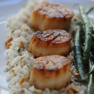 scallops and green beans on a plate