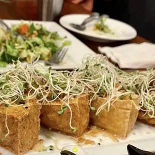 Crispy Tofu with Salad Filling