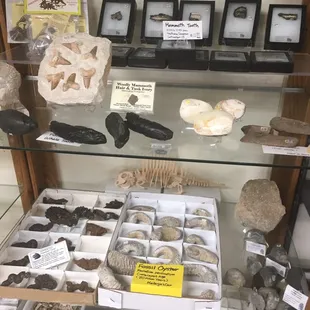 Lots to look at