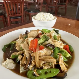 Paht Ginger with Chicken ...best in San Antonio!!
