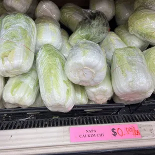 Napa cabbage