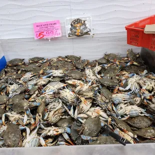 a bin full of crabs