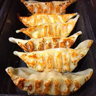 Gyoza - excellent