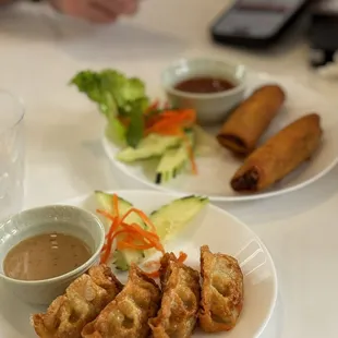 Dumplings and spring rolls