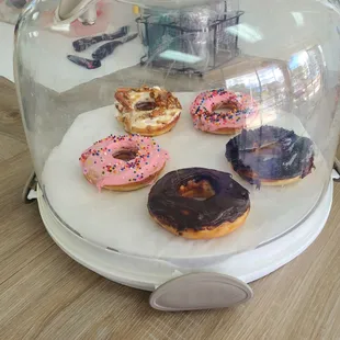 Full size protein donuts