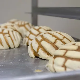 3 very fresh conchas for $1