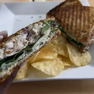 Chicken Spinach Artichoke Panini