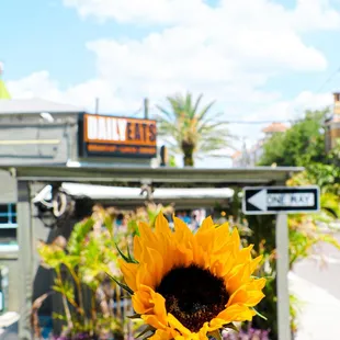 sushi and sashimi, outside