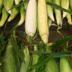 corn on the cob