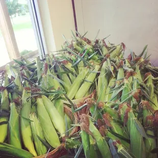 Quality ear corn for birds, squirrels, deer and other wildlife critters