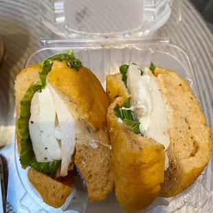 chicken mozz sandwich