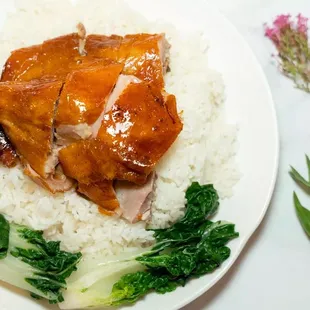 Roast duck over rice