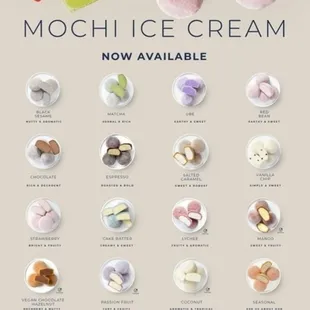 The All New Mochidoki!