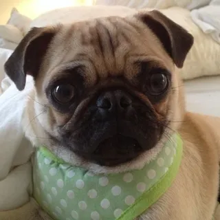 Oscar R.