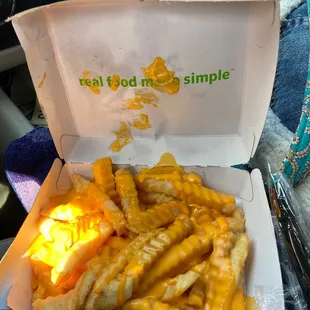 Hot Cheese Fries!!