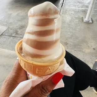 Dairy Cone