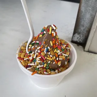 Chocolate Ice Cream with sprinkles