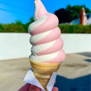 Dairy Dan