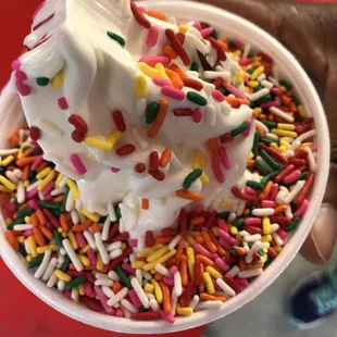 Vanilla and hot fudge with sprinkles