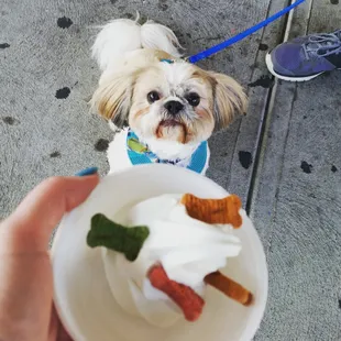 Cute fido bowls