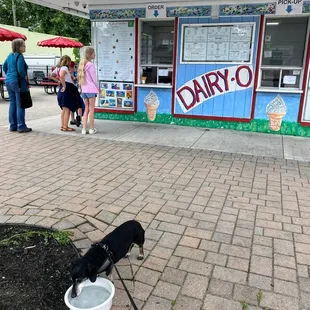 Water bowls out front- don't forget a doggie dish for your pup! (Comes with 2 milk bones)