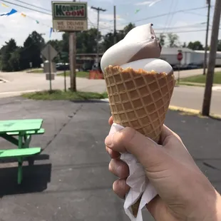 a hand holding an ice cream cone