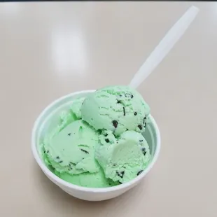 Mint Chocolate Chip