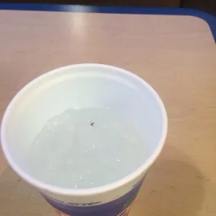 Bug in soda.