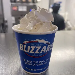 Mini pumpkin pie blizzard