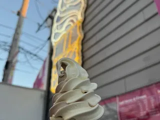 Difiore's Ice Cream Delite