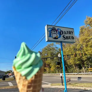 Pistachio Nut on a Waffle cone!