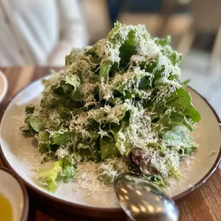 Simple Green Salad