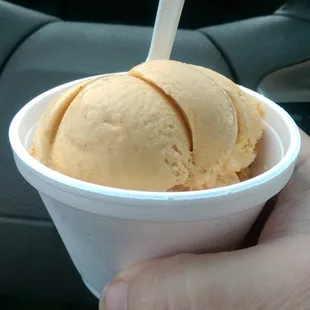 Pumpkin ice cream