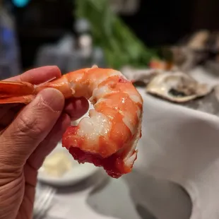 Huge shrimp!
