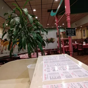 sushi and sashimi, interior
