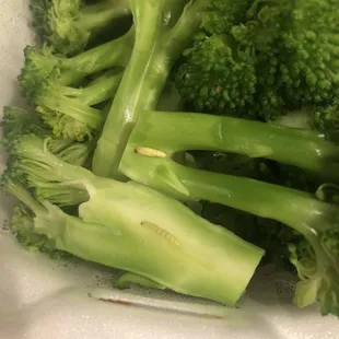 Side of Steamed Broccoli