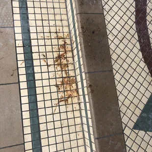 Puke on entering and exiting (after telling the staff it was there &amp; hard to avoid).