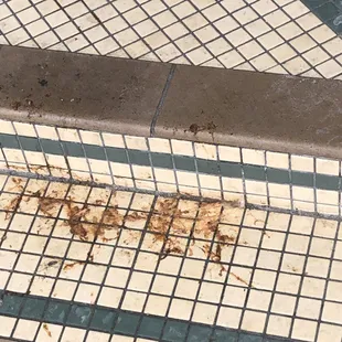 Puke to welcome you &amp; as warning of what you will feel like doing as you leave.