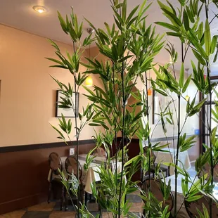 the interior of a restaurant