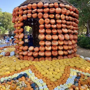 Pumpkin everything