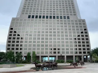 The Mustangs of Las Colinas