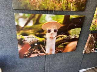 Deep Ellum Arts Festival