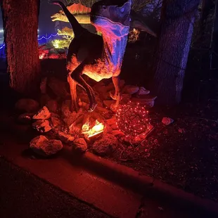 Dallas Zoo after dark (Christmas)