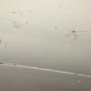 Spiders everywhere stay away unless you like spiders