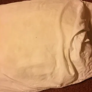 Dirty ass pillow !