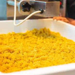 Fresh Pasta being made