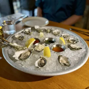 Oysters